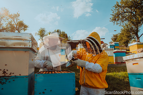 Image of Beekeepers checking honey on the beehive frame in the field. Small business owners on apiary. Natural healthy food produceris working with bees and beehives on the apiary.