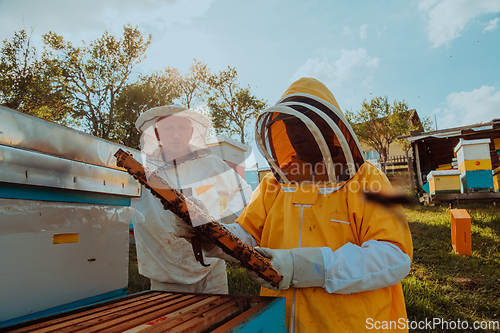 Image of Beekeepers checking honey on the beehive frame in the field. Small business owners on apiary. Natural healthy food produceris working with bees and beehives on the apiary.