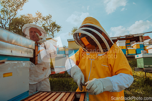 Image of Beekeepers checking honey on the beehive frame in the field. Small business owners on apiary. Natural healthy food produceris working with bees and beehives on the apiary.