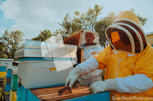 Image of Beekeepers checking honey on the beehive frame in the field. Small business owners on apiary. Natural healthy food produceris working with bees and beehives on the apiary.