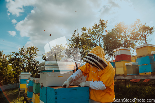 Image of Beekeeper checking honey on the beehive frame in the field. Beekeeper on apiary. Beekeeper is working with bees and beehives on the apiary.