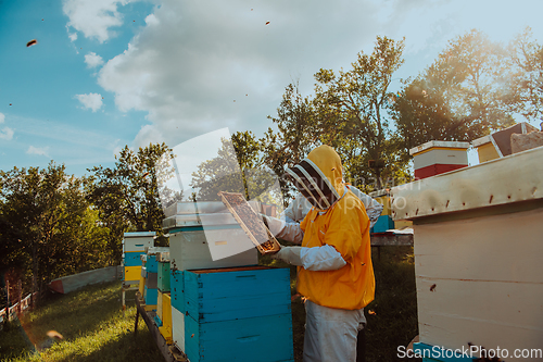 Image of Beekeeper checking honey on the beehive frame in the field. Beekeeper on apiary. Beekeeper is working with bees and beehives on the apiary.