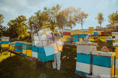 Image of Beekeepers checking honey on the beehive frame in the field. Small business owners on apiary. Natural healthy food produceris working with bees and beehives on the apiary.