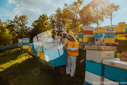 Image of Beekeepers checking honey on the beehive frame in the field. Small business owners on apiary. Natural healthy food produceris working with bees and beehives on the apiary.