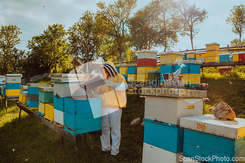 Image of Beekeepers check the honey on the hive frame in the field. Beekeepers check honey quality and honey parasites. A beekeeper works with bees and beehives in an apiary.