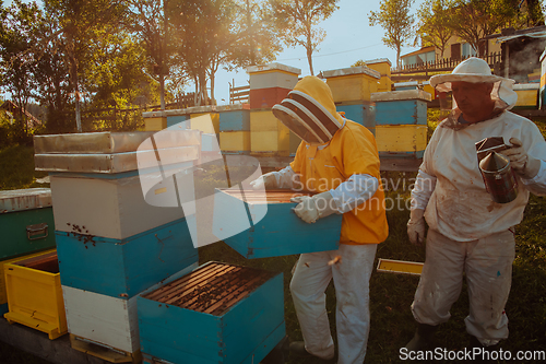 Image of Beekeepers checking honey on the beehive frame in the field. Small business owners on apiary. Natural healthy food produceris working with bees and beehives on the apiary.