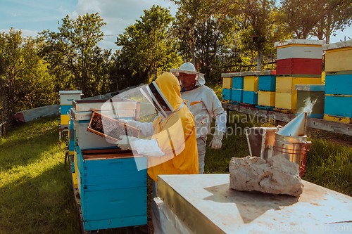 Image of Beekeepers checking honey on the beehive frame in the field. Small business owners on apiary. Natural healthy food produceris working with bees and beehives on the apiary.