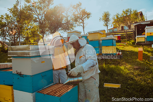 Image of Beekeepers checking honey on the beehive frame in the field. Small business owners on apiary. Natural healthy food produceris working with bees and beehives on the apiary.