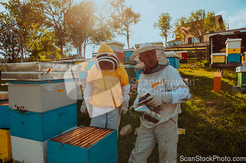 Image of Beekeepers checking honey on the beehive frame in the field. Small business owners on apiary. Natural healthy food produceris working with bees and beehives on the apiary.