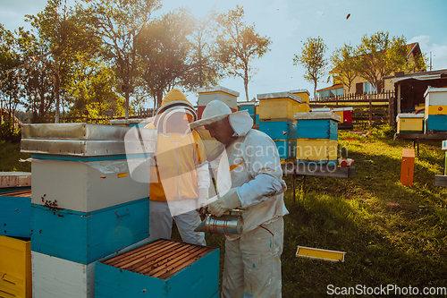 Image of Beekeepers checking honey on the beehive frame in the field. Small business owners on apiary. Natural healthy food produceris working with bees and beehives on the apiary.