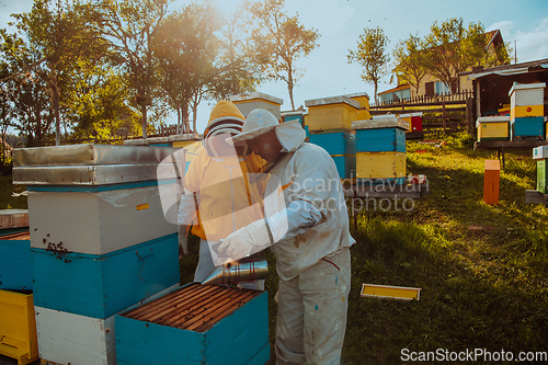 Image of Beekeepers checking honey on the beehive frame in the field. Small business owners on apiary. Natural healthy food produceris working with bees and beehives on the apiary.