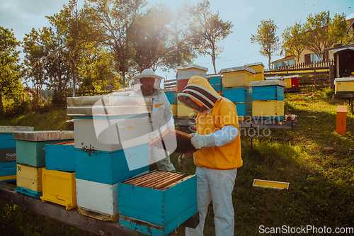 Image of Beekeepers checking honey on the beehive frame in the field. Small business owners on apiary. Natural healthy food produceris working with bees and beehives on the apiary.