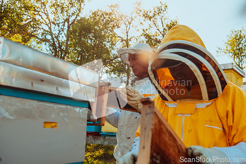 Image of Beekeepers checking honey on the beehive frame in the field. Small business owners on apiary. Natural healthy food produceris working with bees and beehives on the apiary.