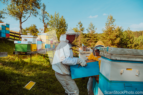 Image of Beekeepers checking honey on the beehive frame in the field. Small business owners on apiary. Natural healthy food produceris working with bees and beehives on the apiary.