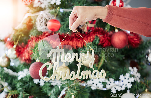 Image of Christmas, tree and hand of man with decoration for celebration, party or event preparation. Festive, holiday and male holding ornament in a living room celebrating a fun December vacation or break