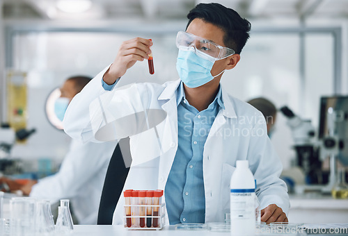 Image of Test, blood sample and scientist doing research with face mask in a laboratory for medical analysis in a lab. Science, medicine and professional Asian man working on exam of DNA in a vial tube