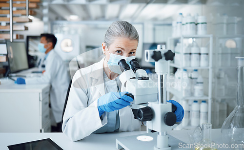 Image of Senior woman, portrait and lab microscope for research and work for medical analysis. Scientist, investigation and laboratory expert with covid and healthcare report for virus monitoring and data