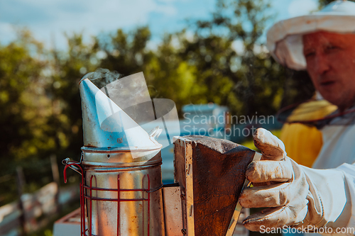 Image of The beekeeper using smoke to calm the bees and begins to inspect the honey