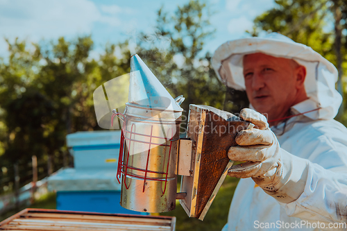 Image of The beekeeper using smoke to calm the bees and begins to inspect the honey