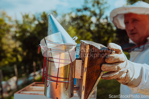 Image of The beekeeper using smoke to calm the bees and begins to inspect the honey