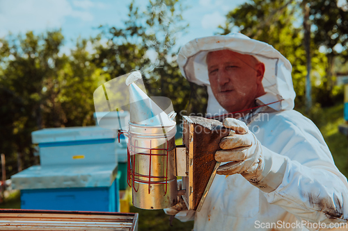 Image of The beekeeper using smoke to calm the bees and begins to inspect the honey