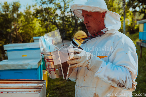 Image of The beekeeper using smoke to calm the bees and begins to inspect the honey