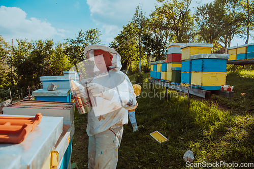 Image of Beekeepers check the honey on the hive frame in the field. Beekeepers check honey quality and honey parasites. A beekeeper works with bees and beehives in an apiary.