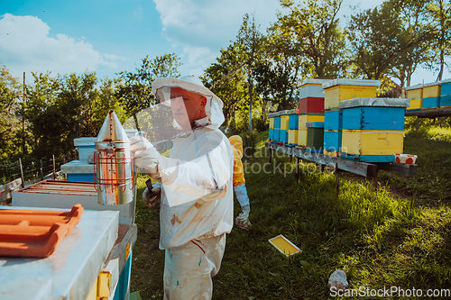 Image of Beekeepers check the honey on the hive frame in the field. Beekeepers check honey quality and honey parasites. A beekeeper works with bees and beehives in an apiary.