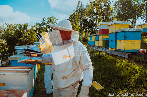 Image of Beekeepers check the honey on the hive frame in the field. Beekeepers check honey quality and honey parasites. A beekeeper works with bees and beehives in an apiary.