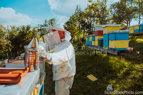 Image of The beekeeper using smoke to calm the bees and begins to inspect the honey