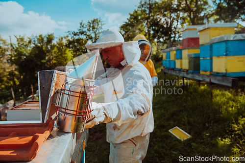 Image of Beekeepers check the honey on the hive frame in the field. Beekeepers check honey quality and honey parasites. A beekeeper works with bees and beehives in an apiary.