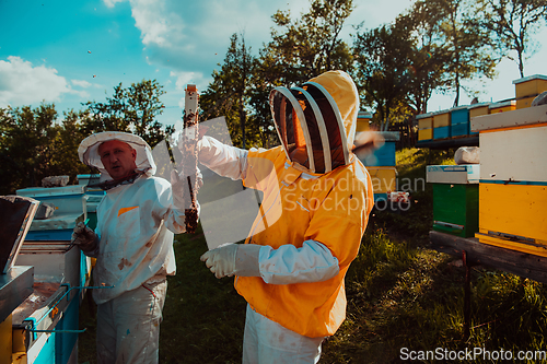 Image of Beekeepers checking honey on the beehive frame in the field. Small business owners on apiary. Natural healthy food produceris working with bees and beehives on the apiary.