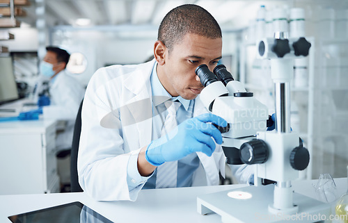 Image of Microscope, science and man in laboratory to check virus research, review medical test and biotechnology. Scientist, microbiology and planning chemistry assessment, investigation and dna innovation