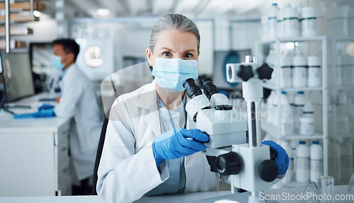 Image of Microscope, scientist and portrait of woman in laboratory to review virus research, medical test and biotechnology. Science, microbiology and senior female professor with face mask for dna analysis