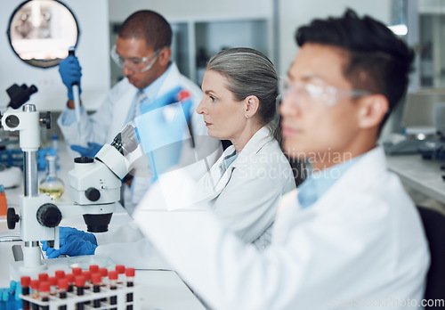 Image of Exam, blood sample and scientist with research in a laboratory for medical analysis or innovation. Science, medicine development or researcher studying or working on test of DNA or virus in vial tube