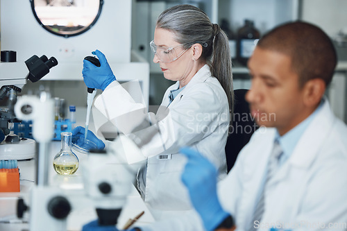 Image of Laboratory research, pipette and scientist team working on biotechnology, chemistry investigation or pharmaceutical. Lab sample, vaccine analysis and people work on scientist experiment, test or exam