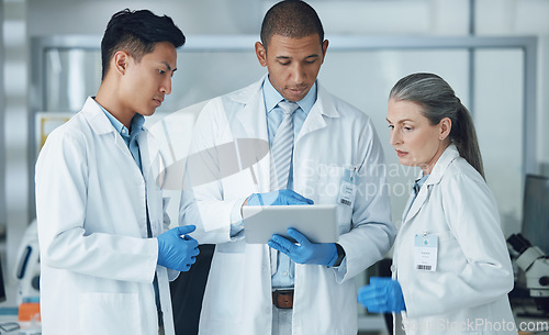 Image of People, digital tablet and collaboration in science laboratory for medical research, medicine and teamwork training. Mature scientist, mentor or technology for healthcare and genetic engineering help