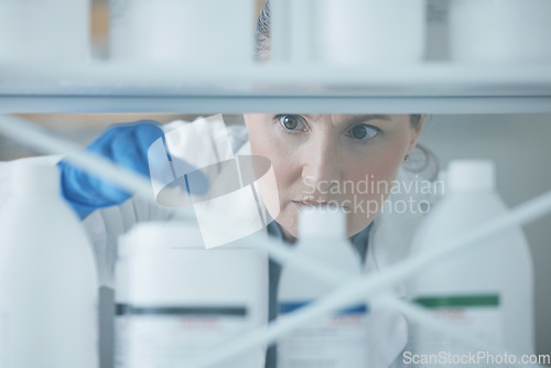 Image of Scientist woman, shelf and bottle in lab with choice, thinking or idea for experiment, innovation or pharma career. Science lady, medical expert and pharmaceutical employee in laboratory for decision