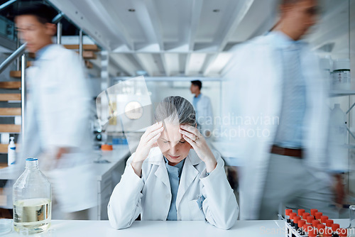 Image of Headache, laboratory scientist or frustrated woman overwhelmed with busy lab, anxiety or depression crisis. Pain, motion blur or senior person stress over science mistake, healthcare risk or migraine