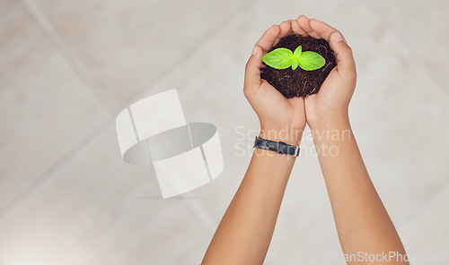 Image of Soil, mockup and hands of person with plant for planting vegetables, harvest or ecosystem. Banner space, sustainability or farmer with dirt, earth and leaf seedling for environment or natural growth