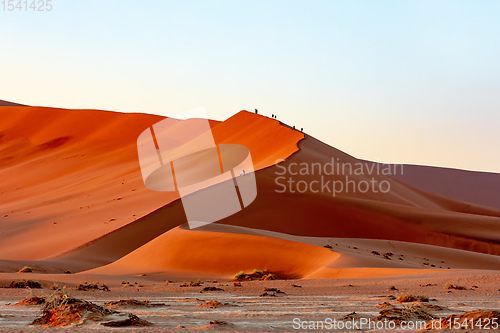 Image of peoples on dune in Hidden Vlei, Namibia, Africa