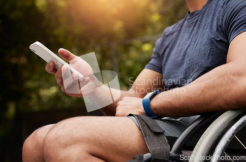 Image of Phone, wheelchair and hands of person with disability typing internet, website or online search for support information. Nature park, cellphone connection or closeup traveler post to social media app