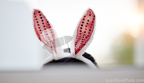 Image of Easter bunny, ears and person at home with computer screen and silly hat for comedy. Celebration, holiday and rabbit with dress up and goofy costume accessory in a house with technology and head