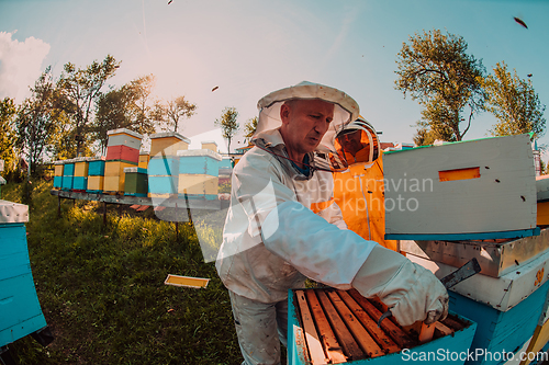 Image of Beekeepers checking honey on the beehive frame in the field. Small business owners on apiary. Natural healthy food produceris working with bees and beehives on the apiary.