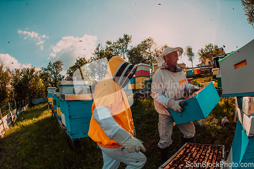 Image of Beekeepers checking honey on the beehive frame in the field. Small business owners on apiary. Natural healthy food produceris working with bees and beehives on the apiary.