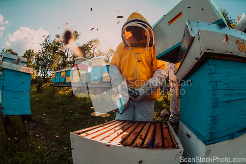 Image of Beekeepers checking honey on the beehive frame in the field. Small business owners on apiary. Natural healthy food produceris working with bees and beehives on the apiary.