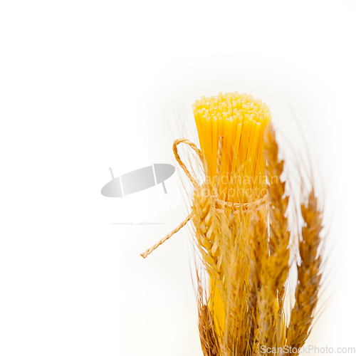 Image of organic Raw italian pasta and durum wheat