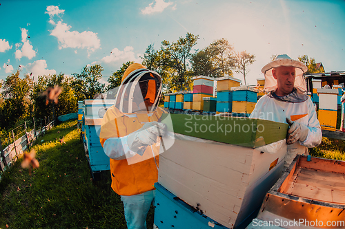 Image of Beekeepers checking honey on the beehive frame in the field. Small business owners on apiary. Natural healthy food produceris working with bees and beehives on the apiary.