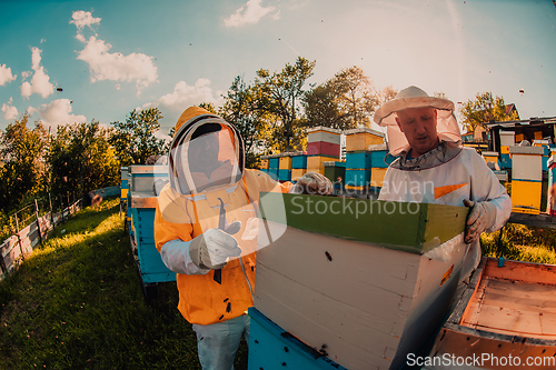 Image of Beekeepers checking honey on the beehive frame in the field. Small business owners on apiary. Natural healthy food produceris working with bees and beehives on the apiary.