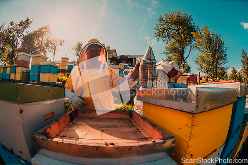 Image of Beekeepers checking honey on the beehive frame in the field. Small business owners on apiary. Natural healthy food produceris working with bees and beehives on the apiary.